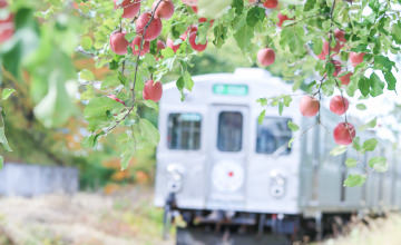 Apple Orchard Railroad