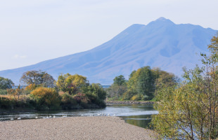 白鳥飛来地と岩木山