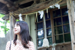 藤崎町の神社の鳥居