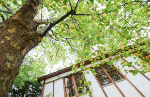 りんご史料館02