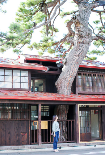 松の湯交流館02