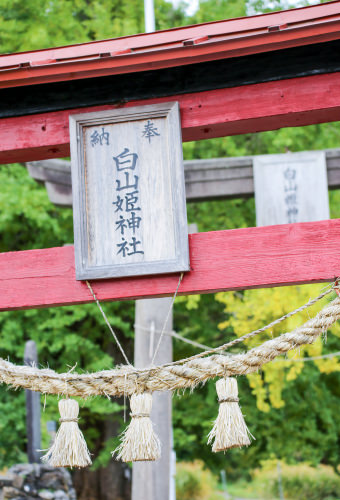 袋観音 白山姫神社02