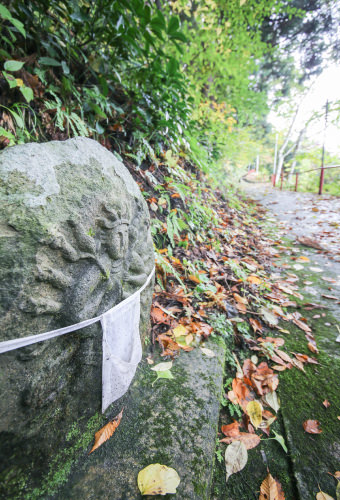 袋観音 白山姫神社03