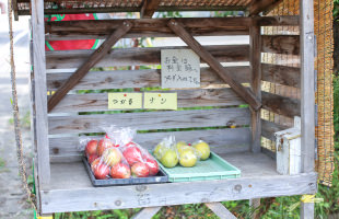 りんご無人販売
