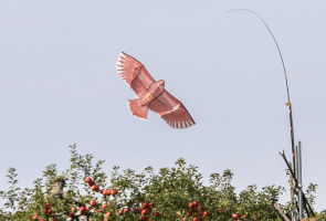 りんごと鉄道01