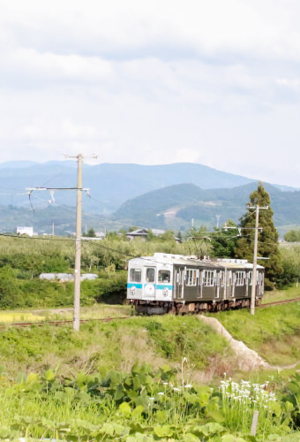 田園の中の電車02