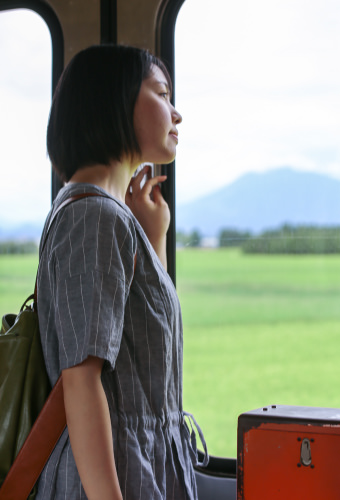 弘南鉄道弘南線と田んぼ02